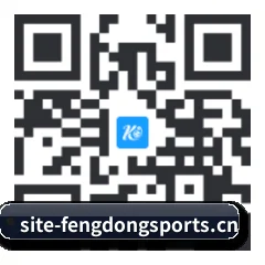 系统版 iOS 二维码